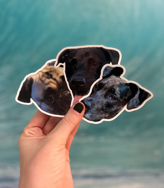 Custom Pet Face Stickers :)