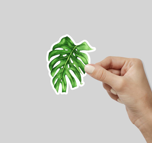 Monstera Leaf Sticker